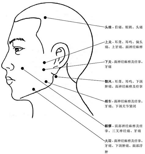 玉門穴|玉門頭:穴位,相關文獻,